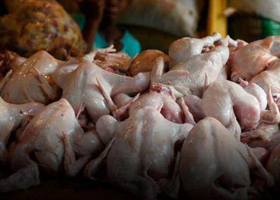 Los pollos de Navidad están asegurados, afirma ADA tras denuncia de escasez del PLD