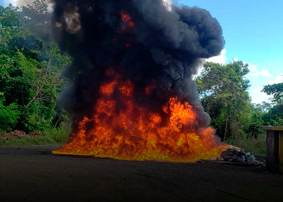 El Inacif quema más de 8 toneladas de drogas en el primer trimestre 2026
