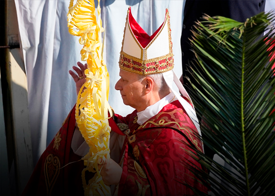 El papa en el Domingo de Ramos: "¡Depongan las armas, recuerden que son hermanos!"