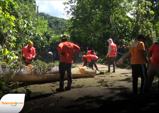 Obras Públicas restablece paso vehicular tras caída de árbol en comunidad de Atabalero