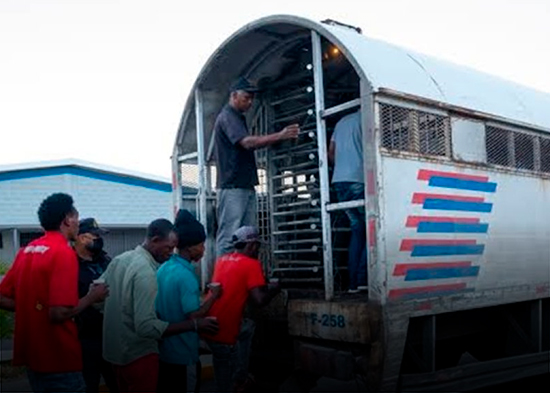 DGM reporta detiene a 4,049 haitianos en tres días; atrapa otros en “pica pollos”
