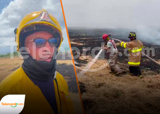 Cuerpos de Bomberos sofocan incendio en Sabana Rey