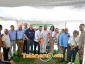 imagen00031