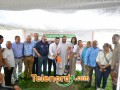 imagen00032