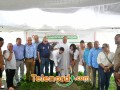 imagen00033