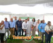 imagen00034