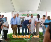 imagen00037
