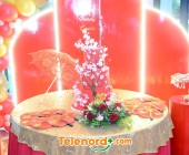 telenord00005
