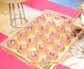 telenord00113
