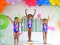 telenord349