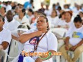 imagen00114