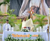 imagen00203