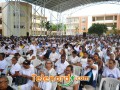 imagen00229