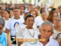 imagen00357