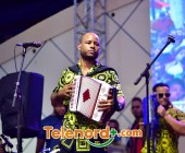 imagen00276