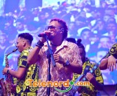 imagen00277